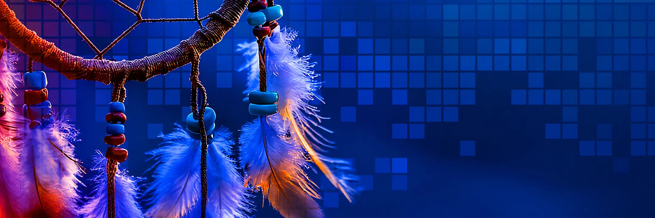 Dream Catcher Moment